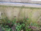 image of grave number 632532